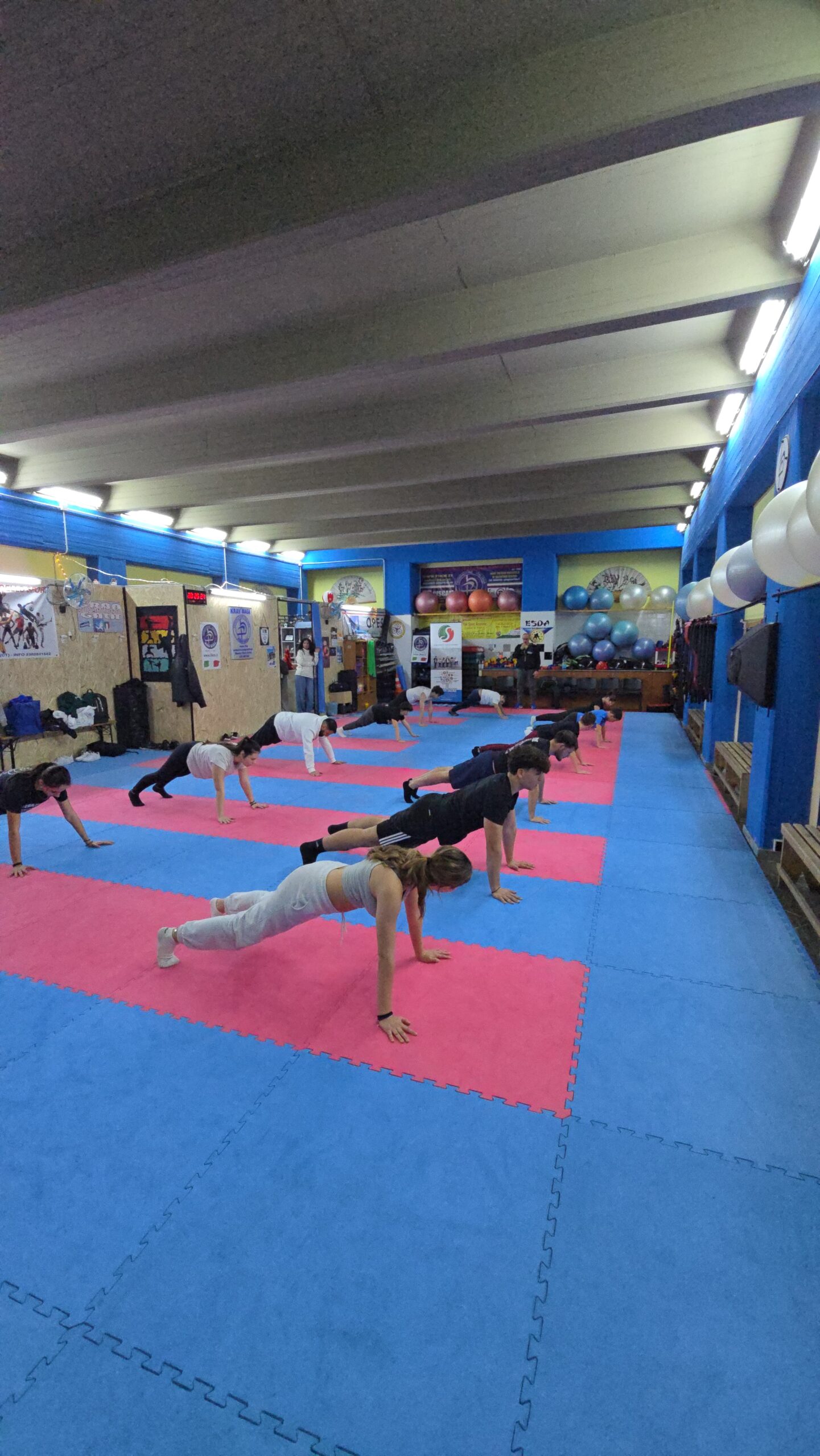 Krav Maga