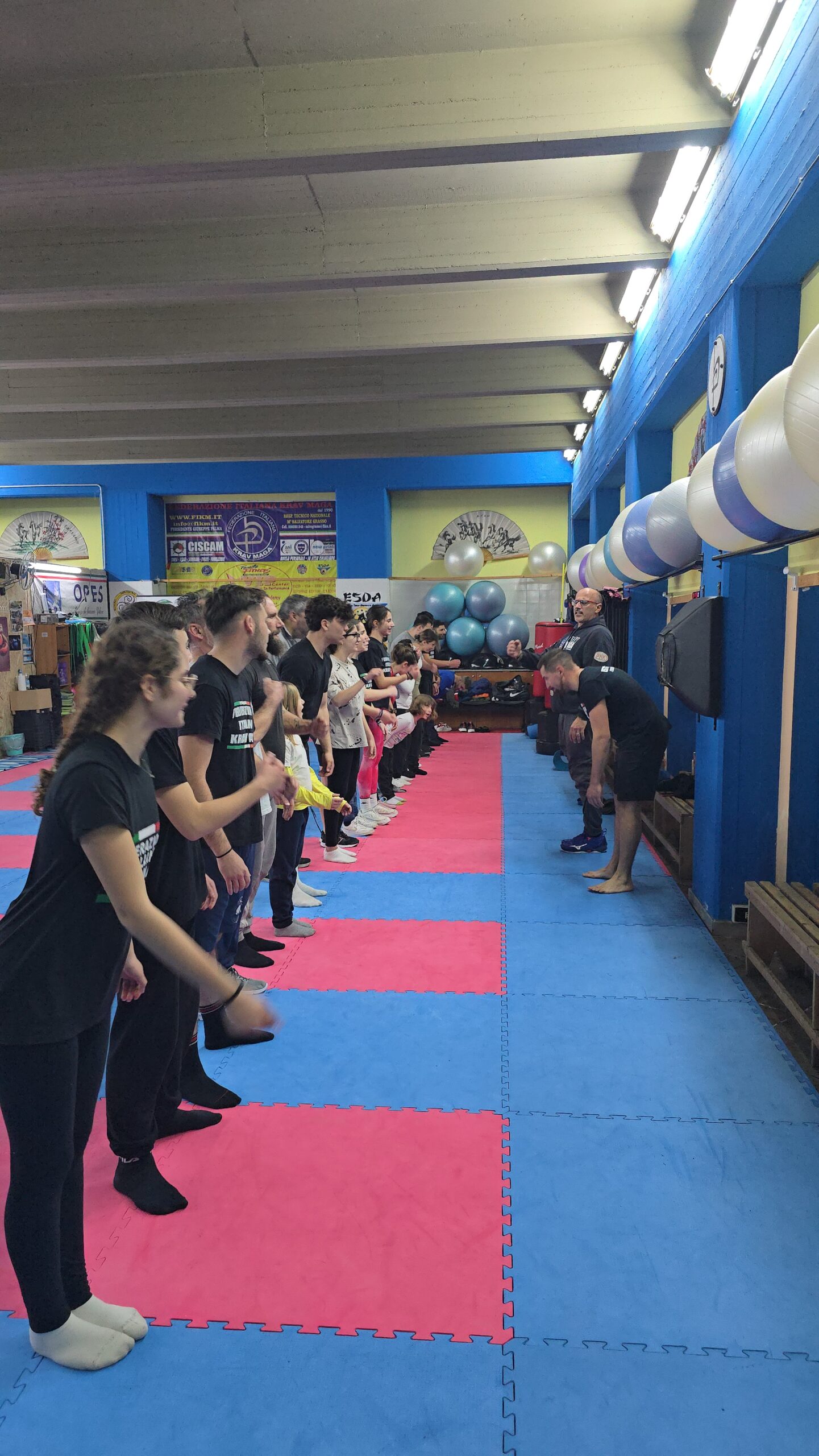 Krav Maga