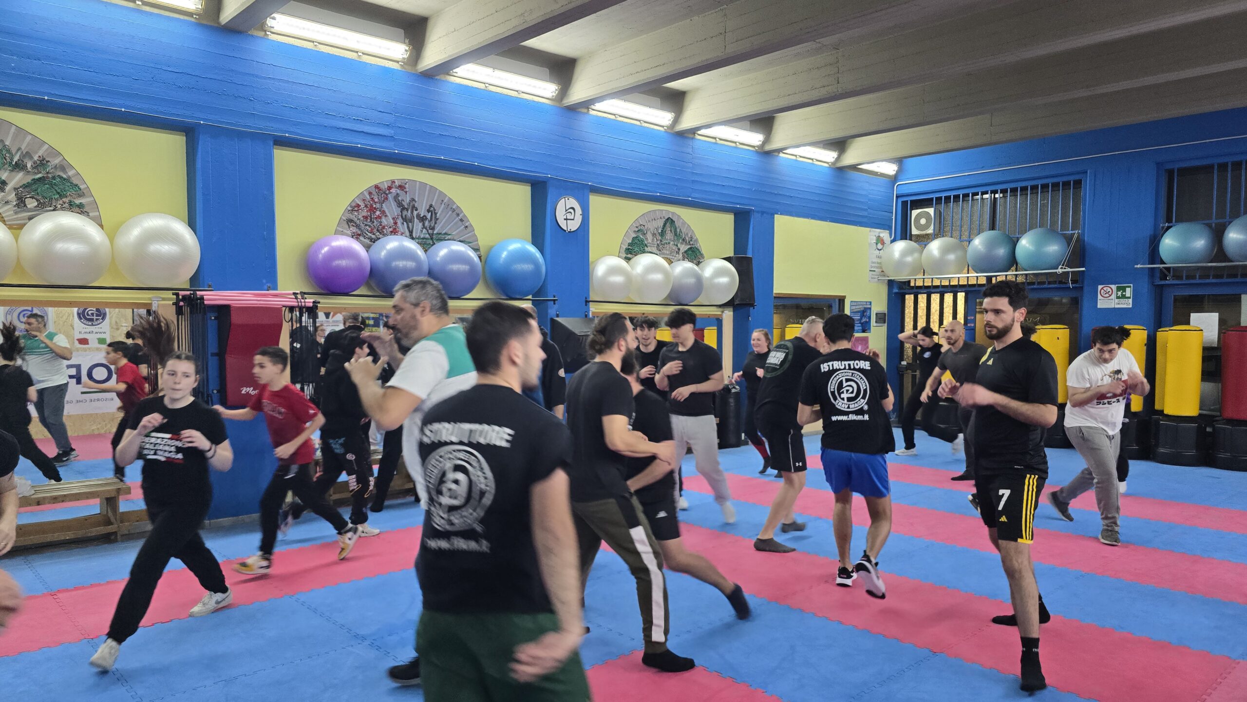 Krav Maga