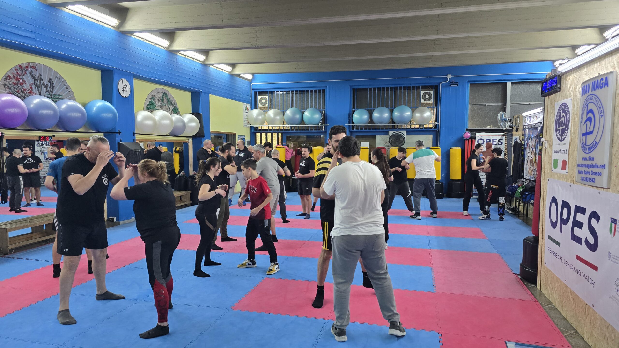Krav Maga