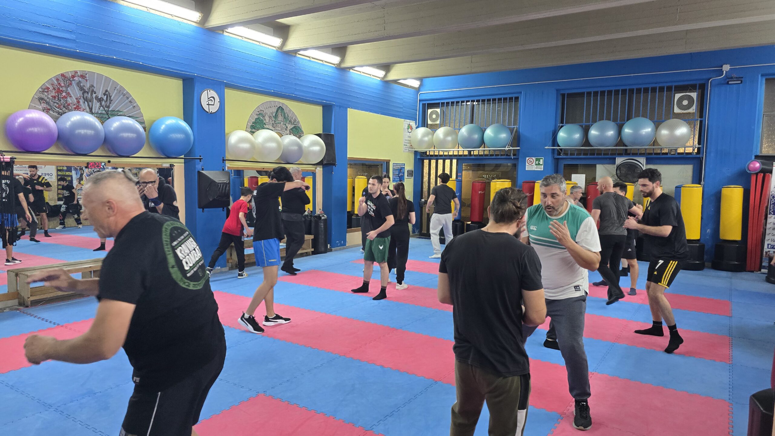 Krav Maga