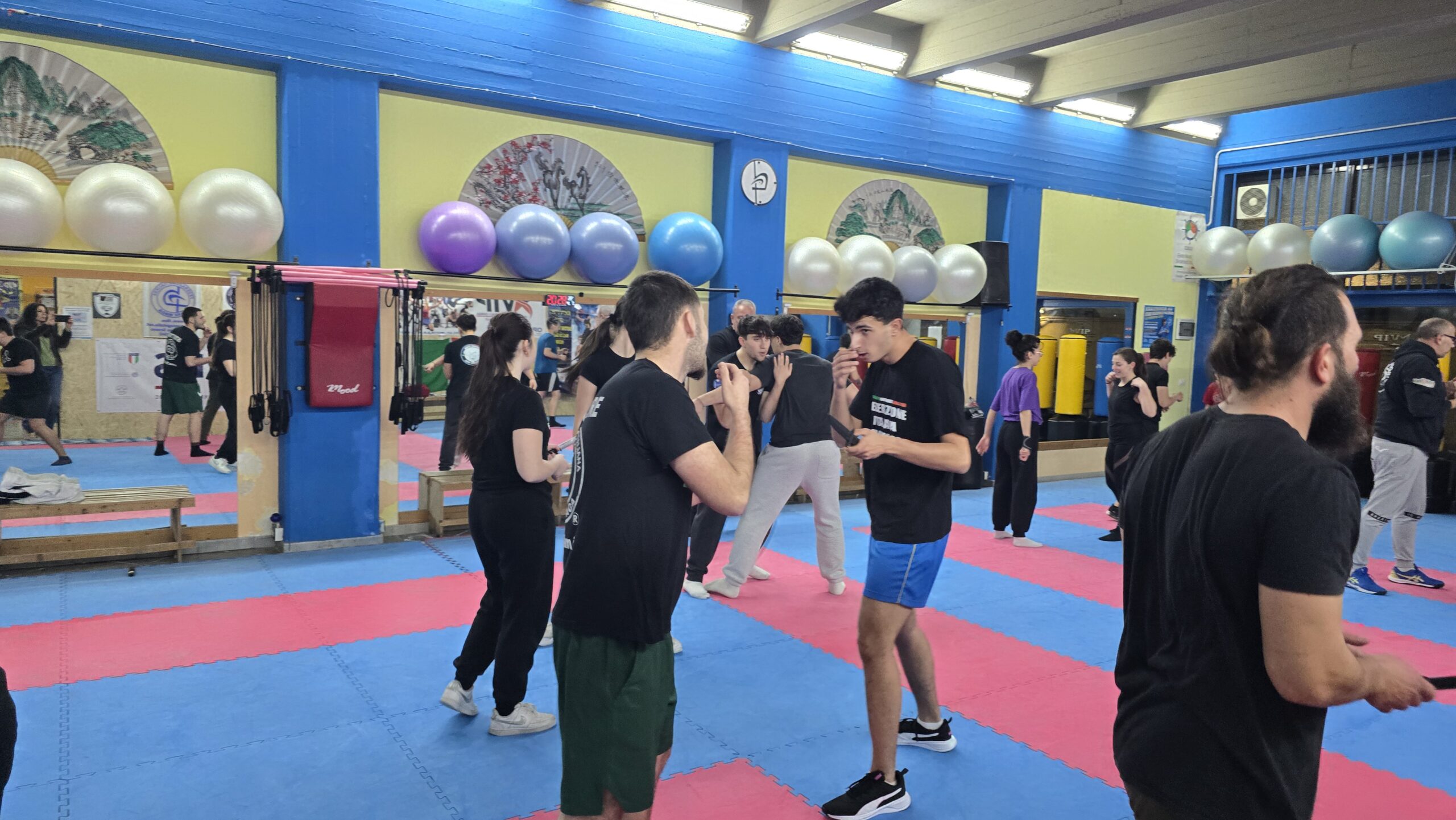Krav Maga