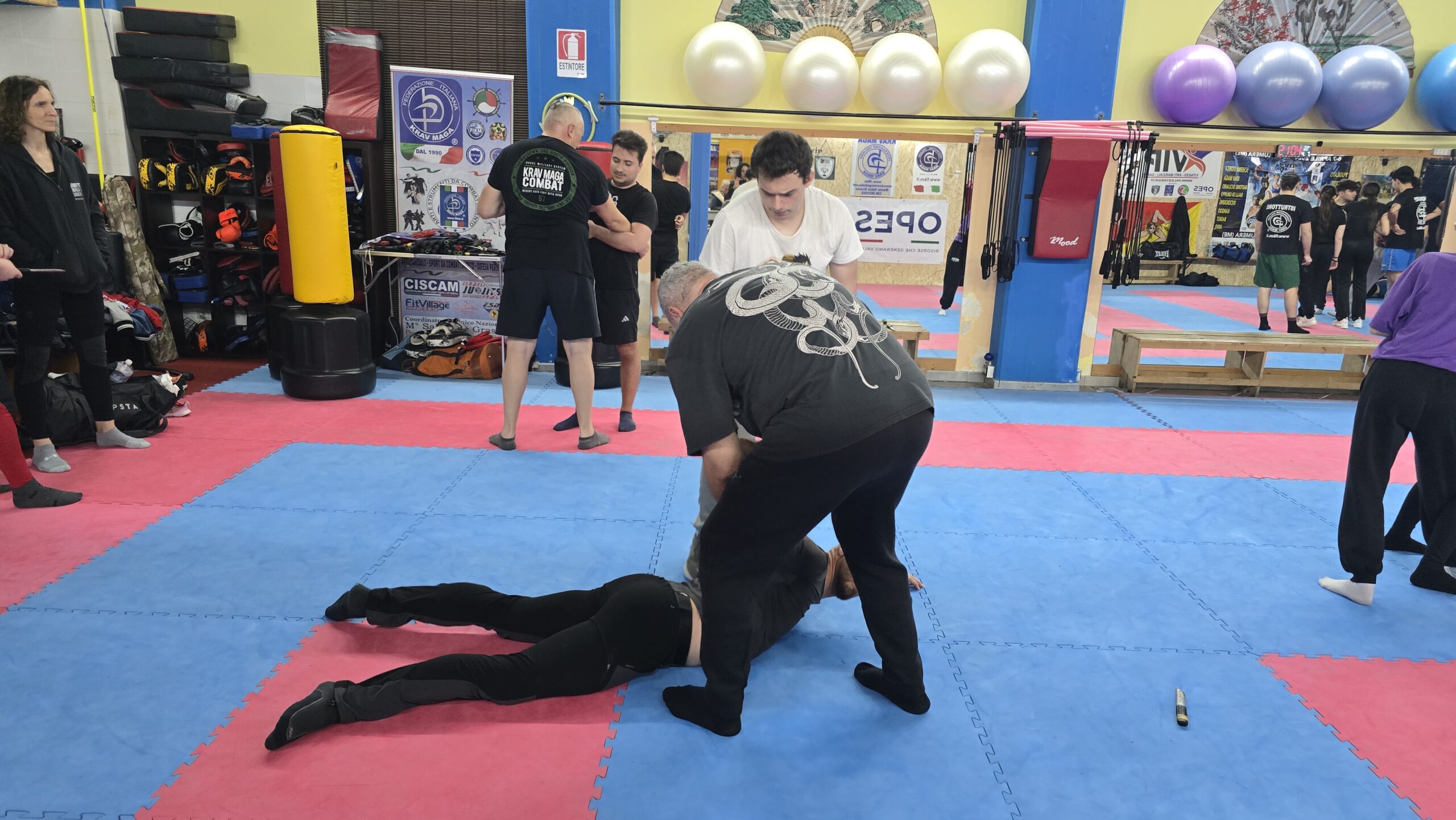 Krav Maga