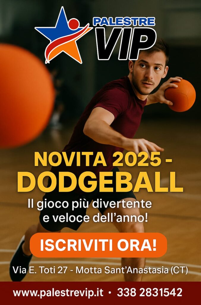 Dodgeball Palestre VIP